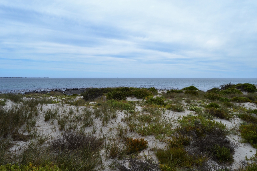 0 Bedroom Property for Sale in Shelley Point Western Cape